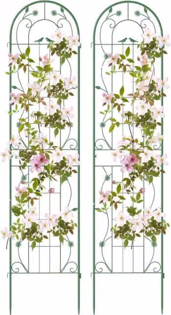 Pacco da 2 tralicci da giardino Design Mania in metallo verde per piante rampicanti, H: 220 cm, L: 52 cm