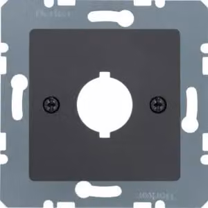 Berker 14311606 Piastra centrale per dispositivo di segnalazione e comando Ø 18,8 mm antracite opaco/velluto Piastra centrale