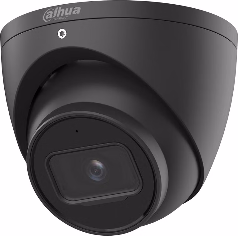 Dahua 5MP WizSense Eyeball Kamera IPC-HDW3541EM-S-S2, schwarz