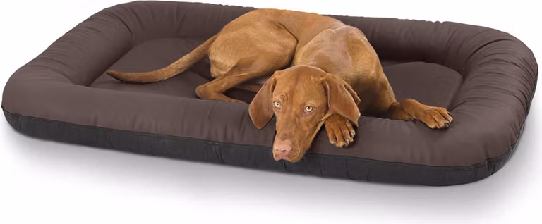 Cuccia impermeabile per cani in ecopelle XXXL - 140 x 105 cm | Marrone