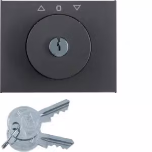 Berker 1079720600, Antracite, Termoplastica, Senza viti, Berker, Opaco, K.1