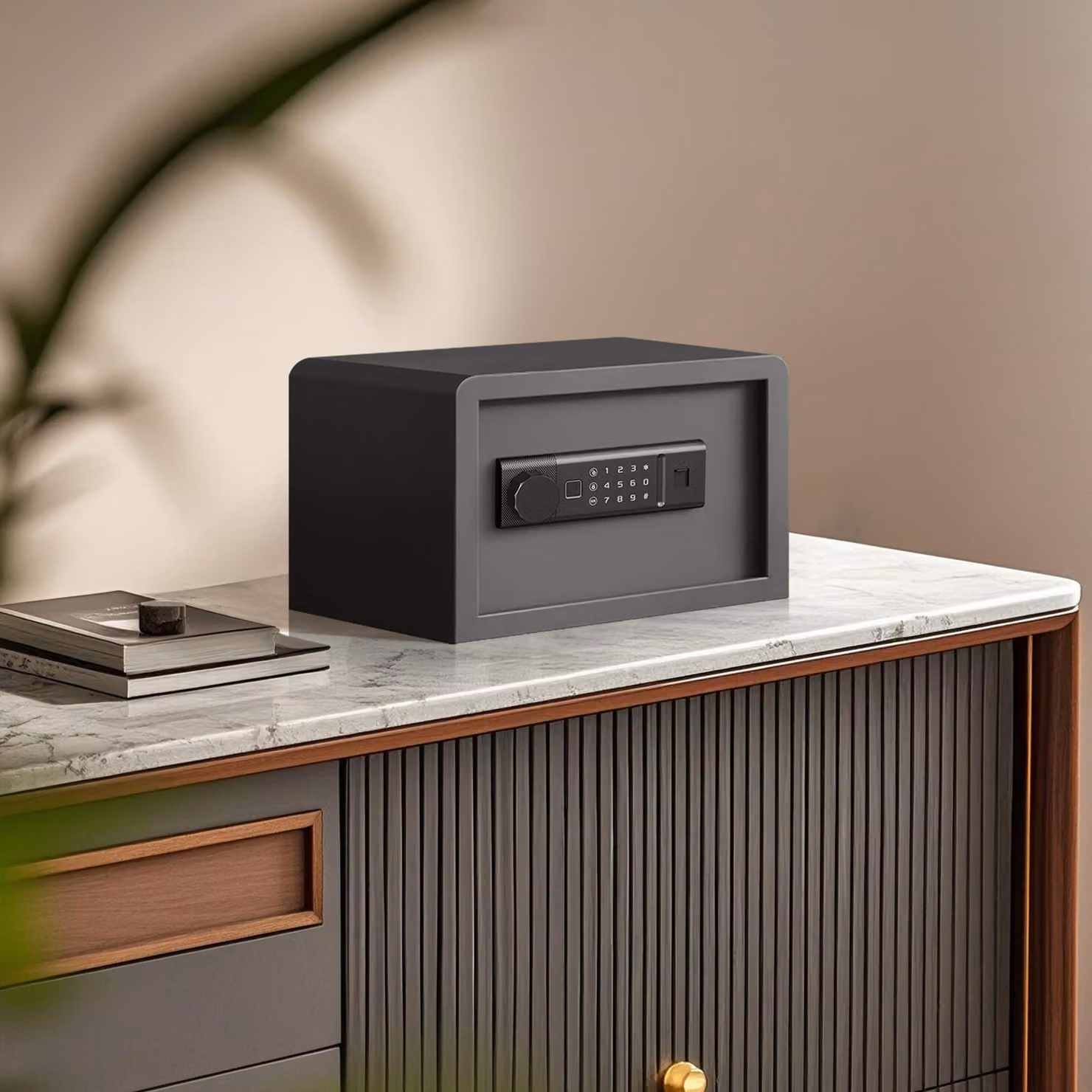 Mini cassaforte biometrica - Capacità: 8,5 litri - Acciaio legato - Cassaforte di sicurezza per la casa - Cassaforte elettronica