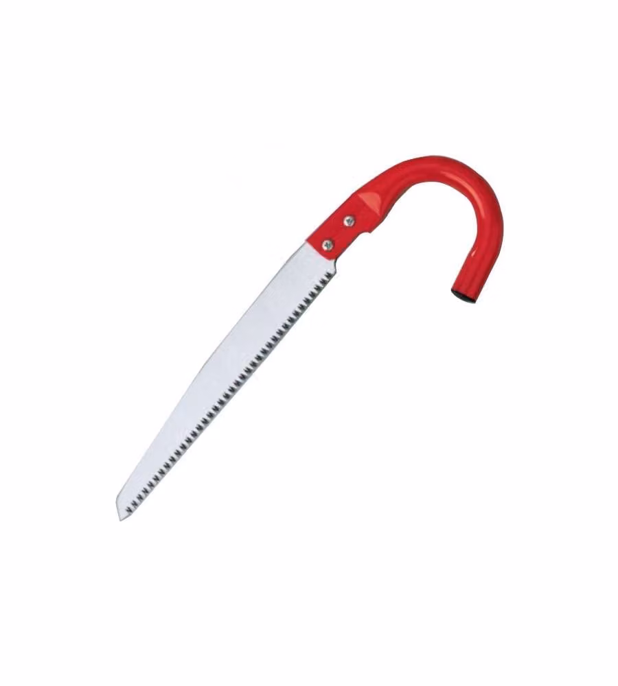 Segaccio Diritto M/Co C 300          34070 Ausonia