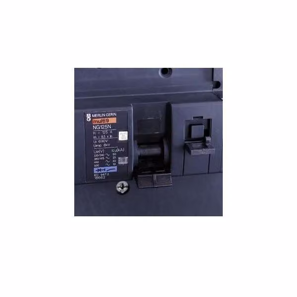 Interruttore automatico Schneider Electric 18662