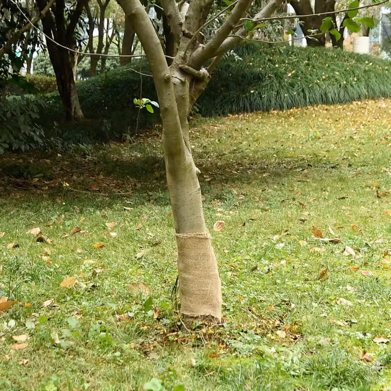 Rotolo in Iuta vidaXL Beige, 0,25 x 25 m, 200 gsm