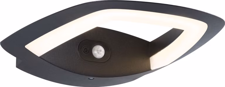 Paulmann Lampada da parete per esterni a LED Akena Rilevatore di movimento crepuscolare (IR)
