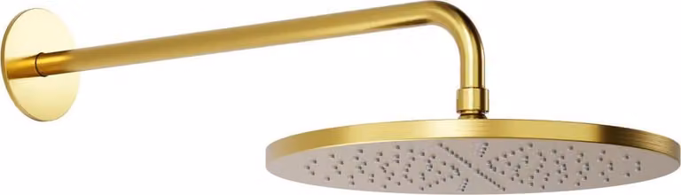 Steinberg Série 100 Douche de tête, douche de pluie, ronde, 300x8 mm, 1001688BG, 1001688BG