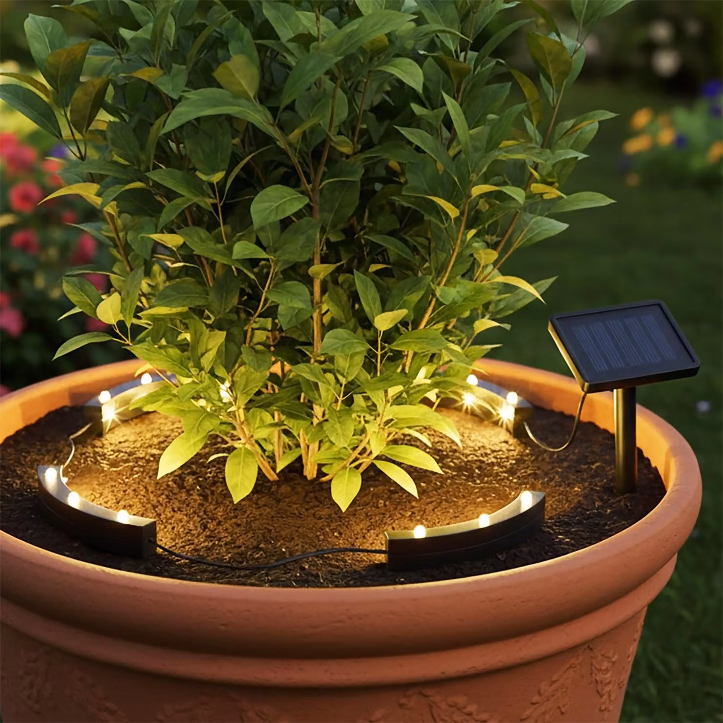 Lampada solare a LED per vasi, luce bianco caldo - Set da 4 - Illuminazione decorativa per piante in vaso e aiuole fiorite