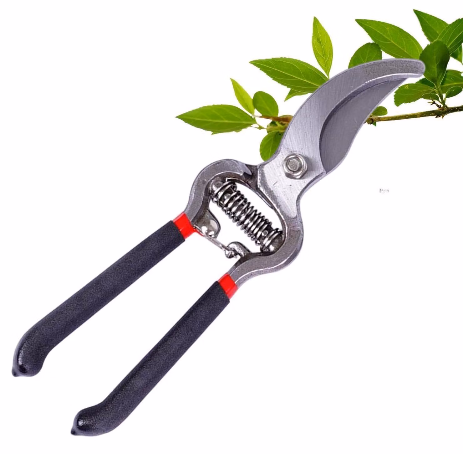 Forbice manuale per fiori e piante