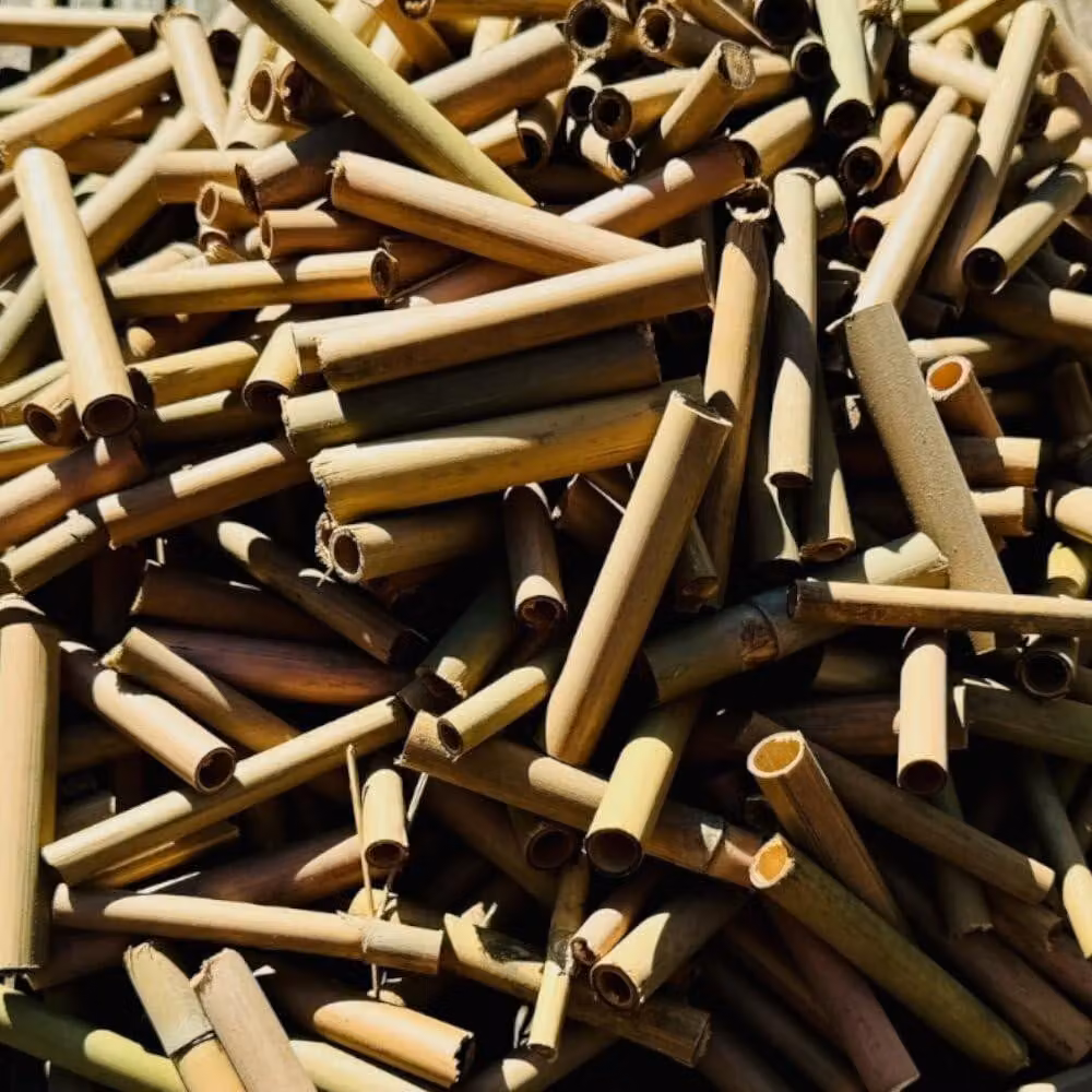 Cannucce di bambù, confezione da 1000 pezzi - Albergo per insetti - Aiuto per la nidificazione delle api selvatiche - Bambù naturale - Materiale di riempimento da 6/8 mm - Ideale per gli insetti