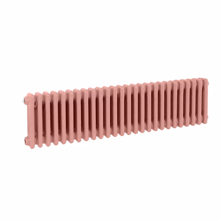 Radiatore Orizzontale a Colonne (2 Colonne) 300mm x 1190mm - Rosa (Camellia Rosa) - Regent