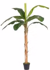 Pianta artificiale Banano verde con 17 foglie Bizzotto Altezza: 200 cm