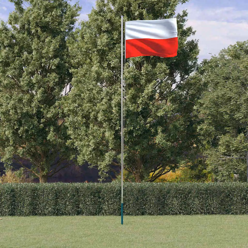 Asta e bandiera della Polonia in alluminio e poliestere vidaXL, 6,08 m, argento e multicolore