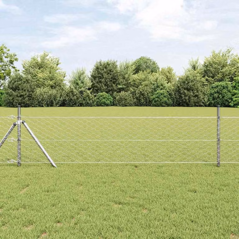 Maison Exclusive - Palo della recinzione Argento 25 x 0,6 m (rete 50 mm) Acciaio