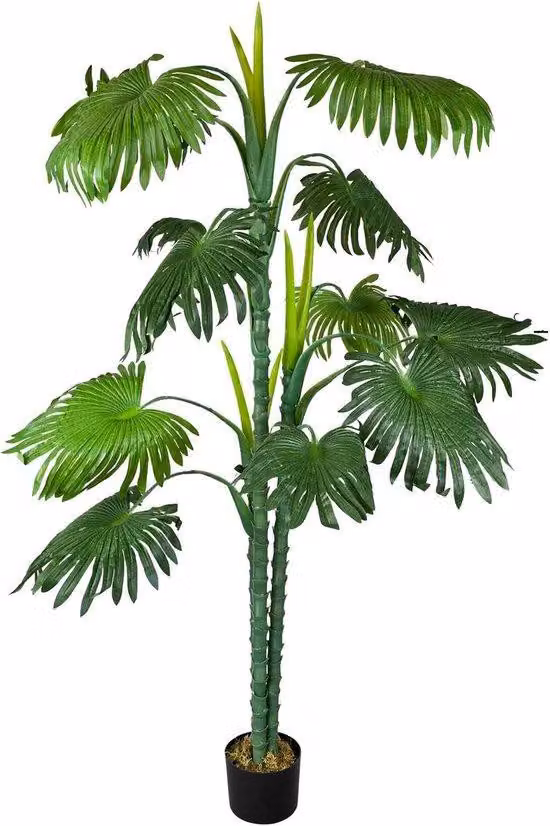 Palma a ventaglio realistica - Decorazione per la casa - Atmosfera naturale - 160 cm - Verde