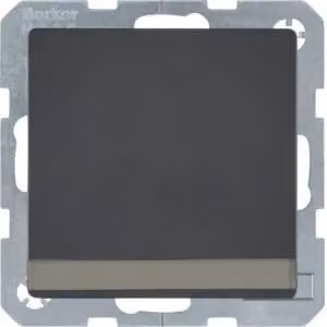 Presa SCHUKO Berker 47526086 con coperchio ribaltabile e campo di etichettatura, color antracite, con Berker Q.1