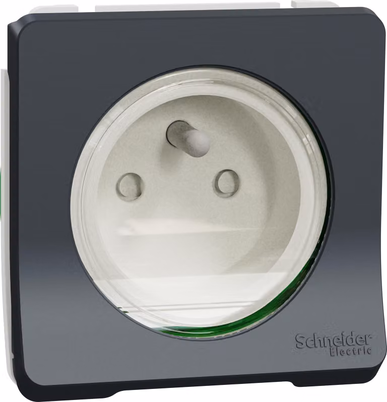 Mureva Styl - Presa 2P+T -IP55-IK08 - connessione automatica - grigio - SCHNEIDER ELECTRIC - MUR36133