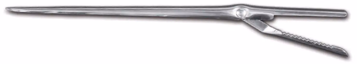 Ago per lardare con molla cm 19,5 di Sanelli Ambrogio