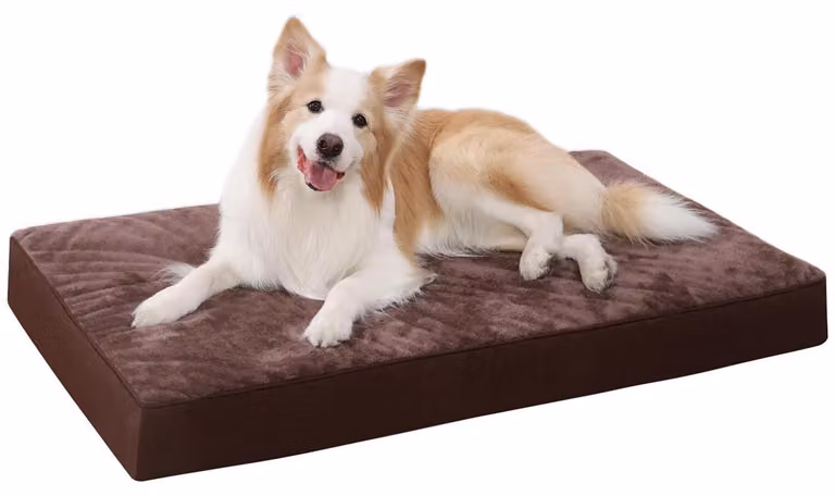 Cuccia ortopedica per cani, taglia XXL, 119x73x9 cm, rivestita in peluche, antiscivolo, con coprimento removibile
