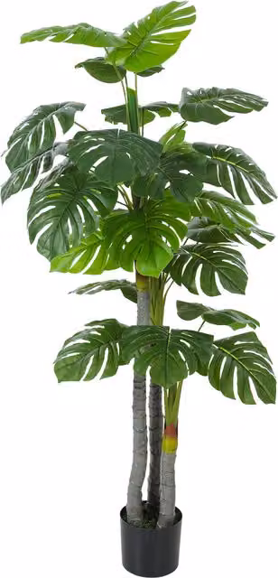Pianta Artificiale Monstera HOMCOM Verde con Vaso, Altezza: 150 cm