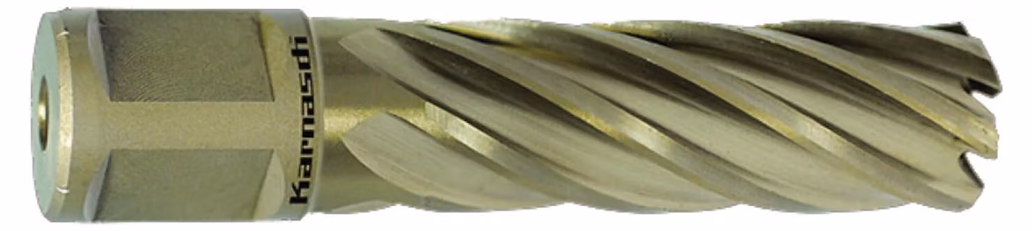 Punta a HSS-XE, attacco Weldon, lunghezza utile 55 mm, Gold-Line55, d=49 mm
