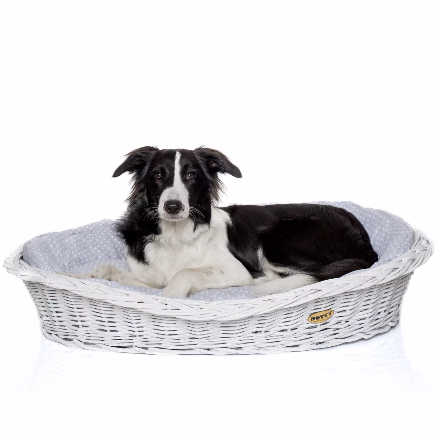 Cesto in vimini bianco sbiancato per cani Cesto Wiki con cuccia in cotone - Beige con motivo a scacchi - DOTTY