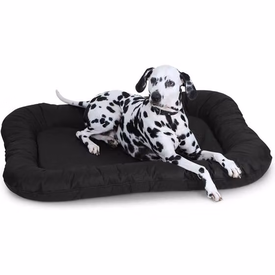 Letto per cani da interno e da esterno impermeabile nero | quadrato | XL