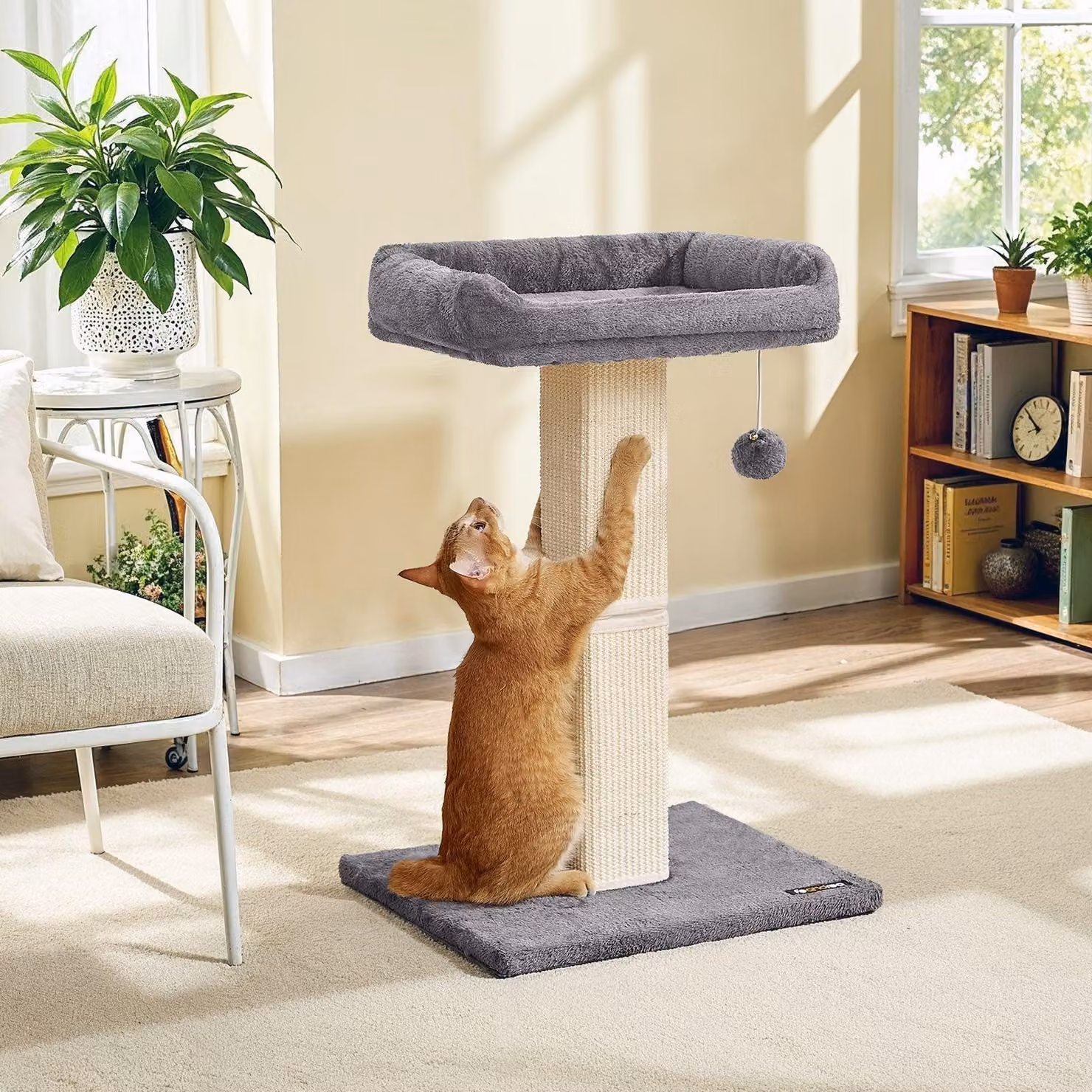 Albero per gatti grigio scuro – Torre giochi – resistente e facile da pulire – 45 x 40 x 71 cm