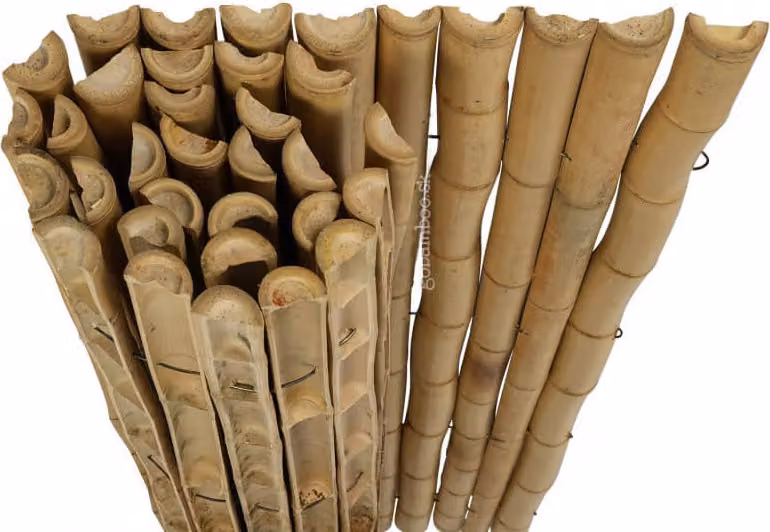 Rotolo di bambù naturale semicircolare Moso 180 x 150 cm (recinto di bambù)