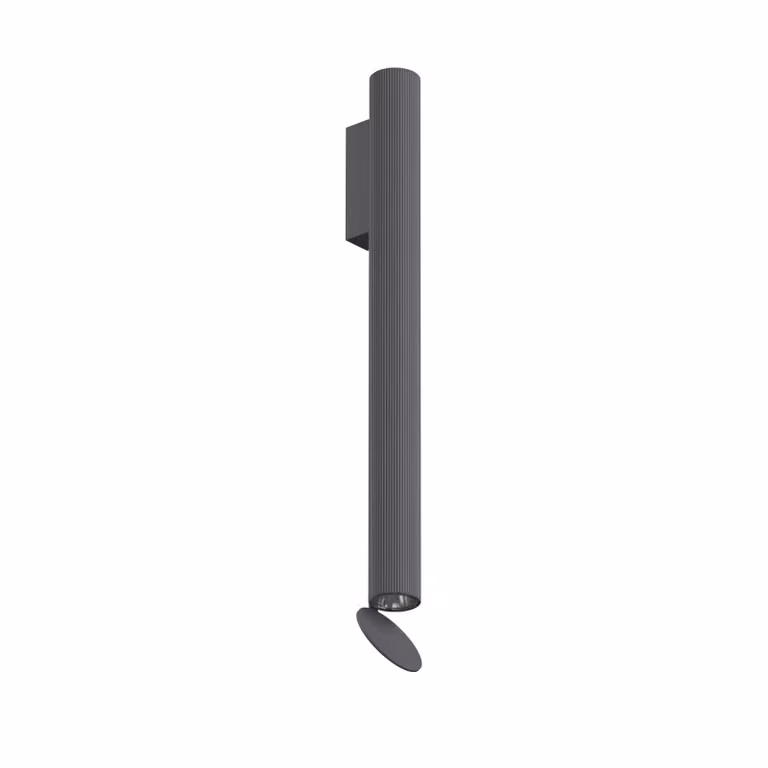 Flos - Flauta Riga 2 Dimmable DALI - Lampada da parete o soffitto da esterno - Antracite