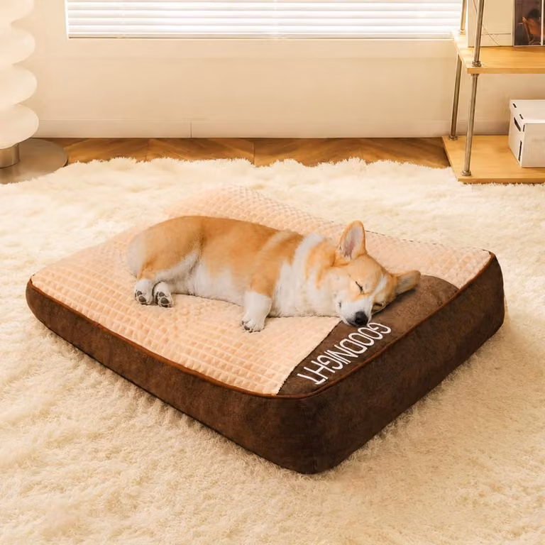 Cuccia ortopedica per cani, taglia XL, colore marrone, dimensioni 80 x 64 x 18 cm, con imbottitura in memory foam e rivestimento removibile