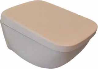 TOTO WASHLET per NEOREST WX2