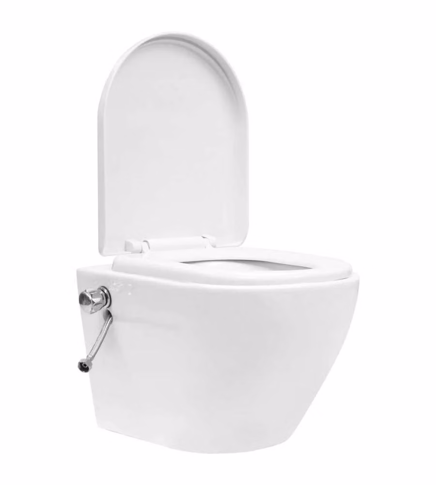 WC a Muro senza Bordo con Sciacquone Nascosto Ceramica Bianco