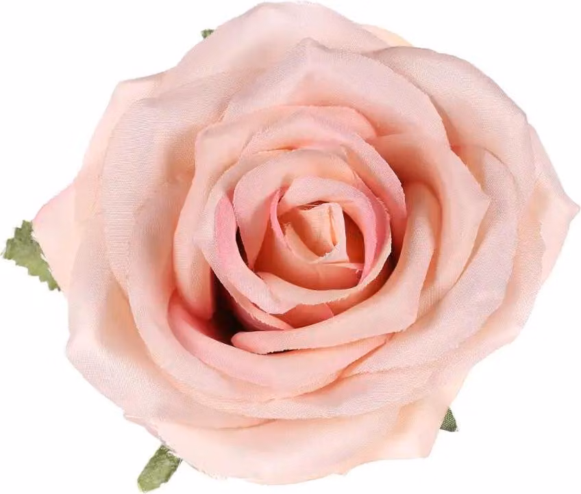 Rose Autronic 12 pezzi KUM3311-OLDPINK