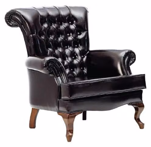 Sessel Ohrensessel 1 Sitzer Sofa Couch Polster Couchen Leder