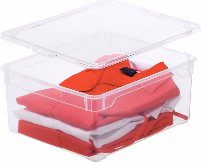 Rotho 364799 Contenitore &quot Clear Box&quot 18 l con coperchio, 40 x 33,5 x 17 cm