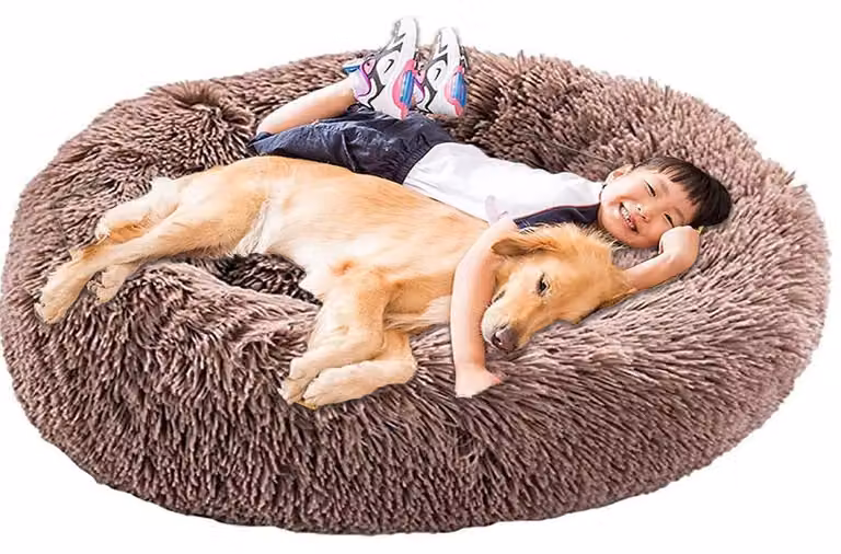Cuccia ortopedica XXL per cani di grossa taglia, lavabile, a forma circolare, color marrone