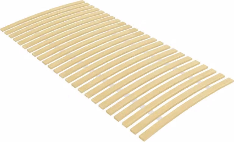 The Living Store Lattenrost mit 24 Latten 100x200 cm