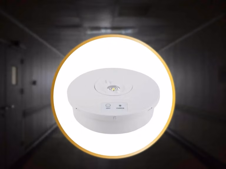 Lampada di emergenza a LED NEDES, 2W / 3 ore / IP65 - LEL601