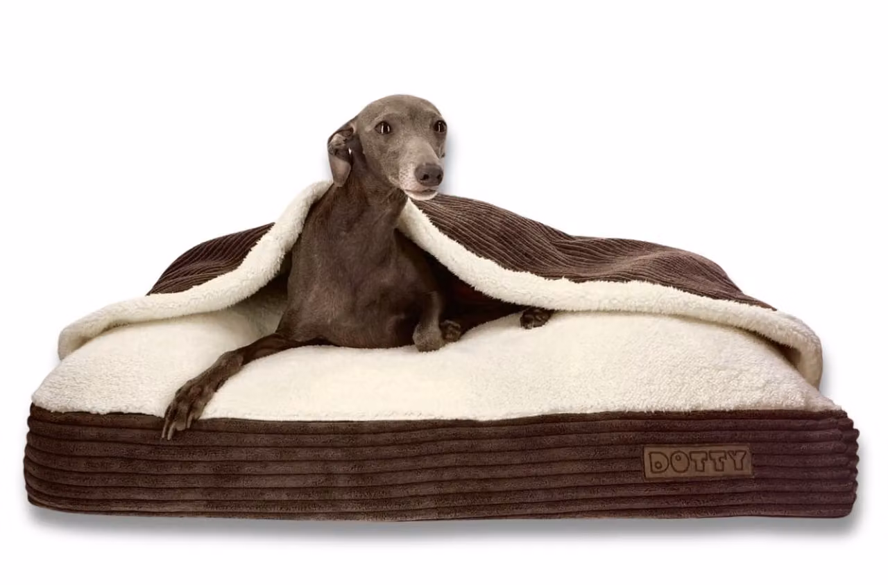 DOTTY Cuddly dog cave Cuddly dog bed Nido per cani Grotta per gatti Sacco a pelo per cani - Tessuto a coste marrone con pelliccia color crema - Misura L (90 x 70 cm)