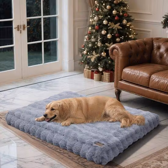 Cuccia grande per cani, cuccia per cani, cuccia rettangolare per cani, imbottitura in schiuma, cuccia morbida per cani, cuccia comoda per cani, coperta rimovibile, color beige.