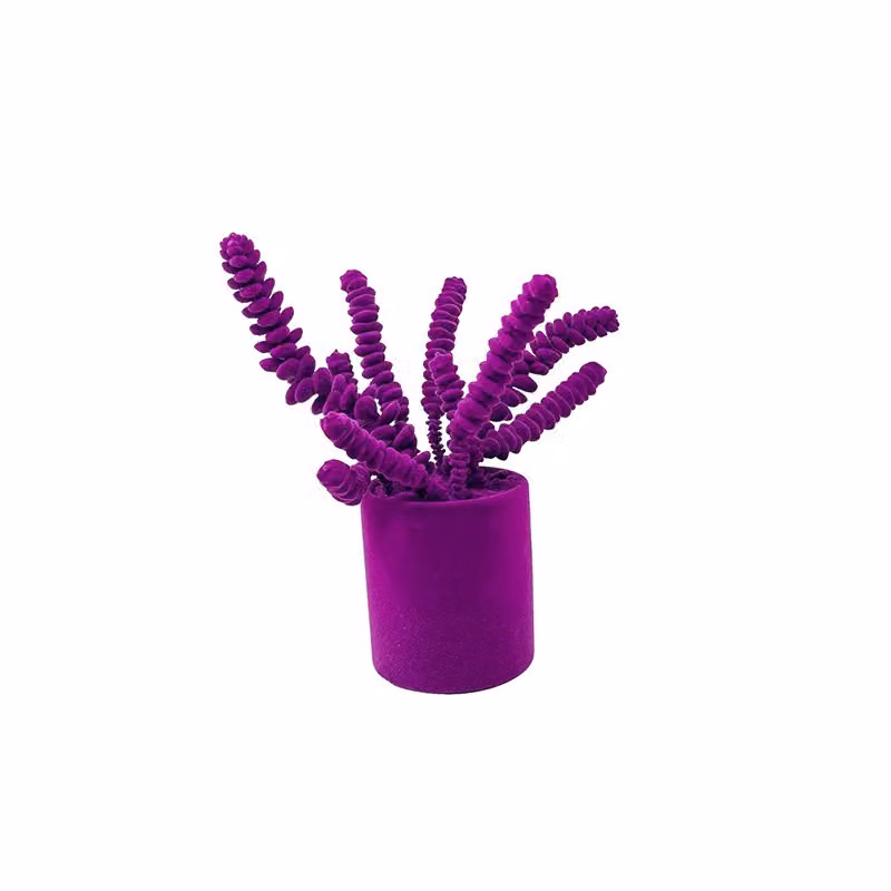 Complemento d'arredo Crassula Adriani e Rossi