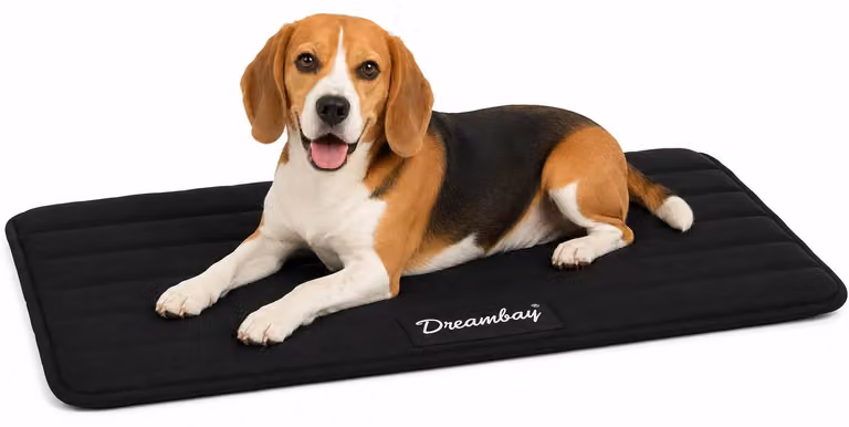 Cuccia per cani Flamingo - lettino ortopedico per gatti Dreambay® nero - Comfortevole