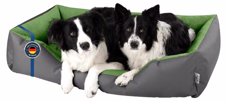 Solidchoice - Cuccia per cani LUPI con coperta rimovibile, taglia XXL