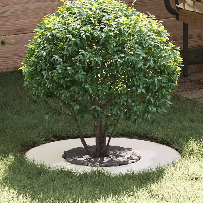 Set di 5 anelli d'albero piatti vidaXL in acciaio bianco Ø30/60 cm per giardino ornamentale