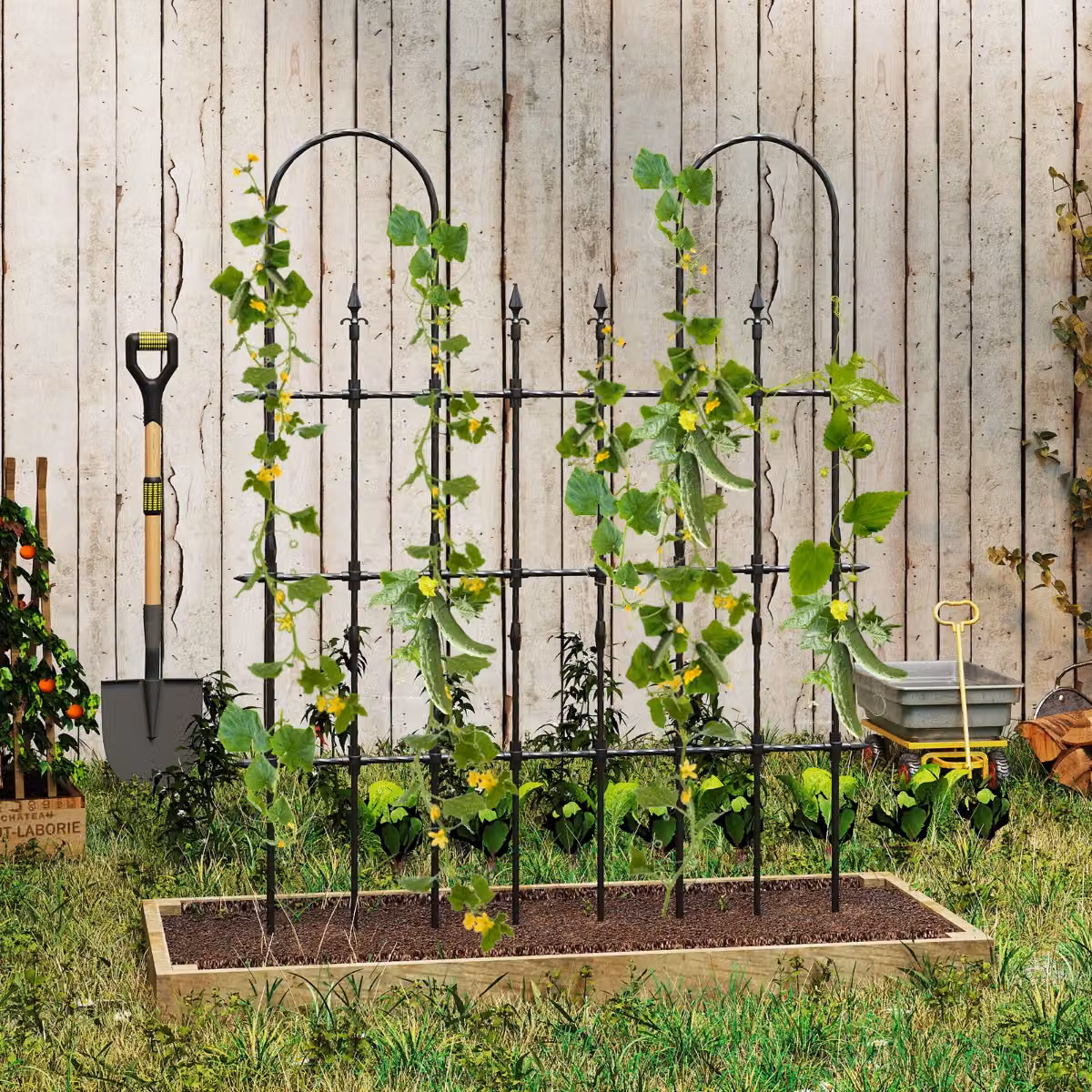 Arco da giardino Costway per piante rampicanti e rose, colore nero, L: 146 cm x H: 186 cm