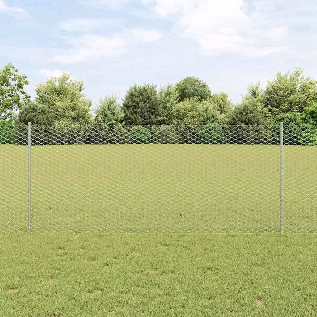 Maison Exclusive - Recinzione con Posto Argento 1 x 25 m Acciaio