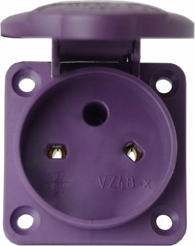 Presa di corrente incorporata presa diritta 48V 10A 2P IP54