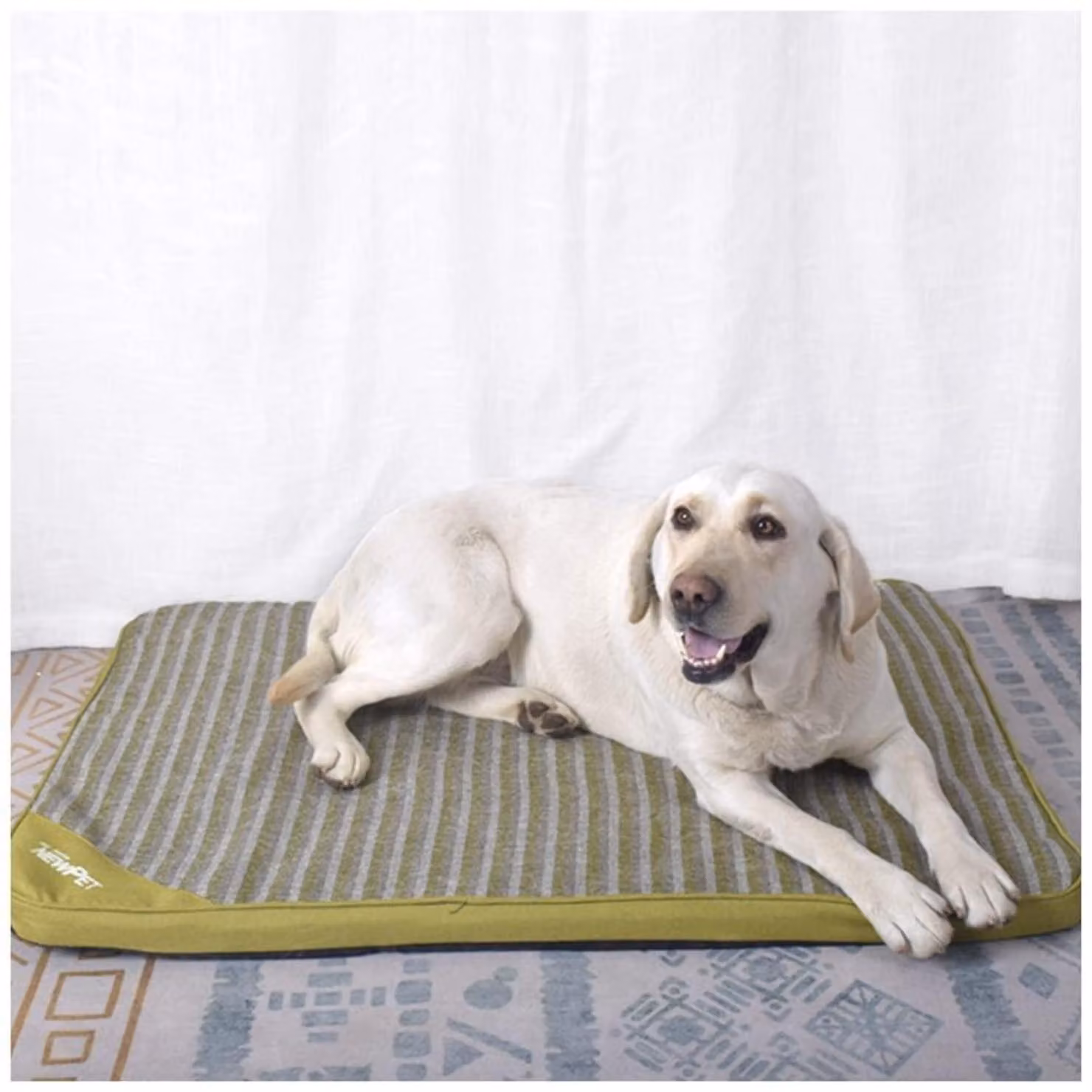 Tappetino ortopedico per cani, cuccia in memory foam, lavabile, colore verde, taglia M (41x34x4 cm)