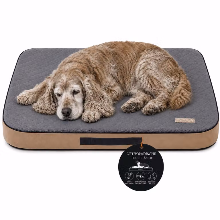DOTTY Materasso ortopedico per cani, dimensioni 90 x 60 cm, cuccia lavabile realizzata in schiuma viscoelastica,  Standard 100